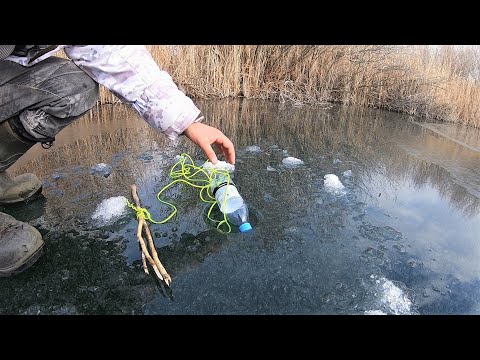 Видео: БУТЫЛКИ УХОДЯТ ПОД ЛЁД! ЭТО Первый лед 2021-2022! Оставили жерлицы без присмотра!