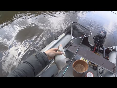 Видео: Ловля белой рыбы фидером с лодки. Интересный способ ловли.