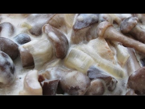 Видео: ОПЕНЬКИ В СМЕТАНІ / ГРИБНА ПІДЛИВА