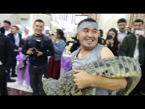 Видео: КРОКОДИЛ НА СВАДЬБЕ #крокодил
