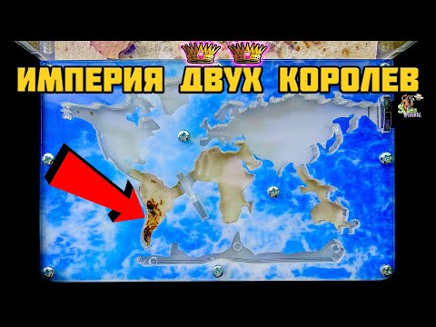 Видео: Возрождаем Желтую империю ● Lasius flavus