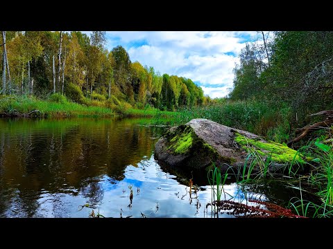 Видео: От Пашозера вниз по реке.