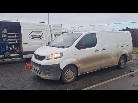 Видео: Новый топливный бак Peugeot Expert Eolys не работает? P1434 U1F3C Нет связи B1811