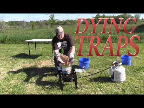 Видео: Серия для начинающих ловцов: как покрасить ловушки