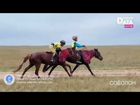 Видео: Соёолон: Улсын аварга малчин Х.Батжаргал, О.Оюунсүрэн нарын Мялаалга наадам