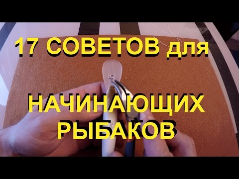 Видео: Советы для НАЧИНАЮЩИХ рыбаков. Рыболовные секреты, рыбалка для начинающих. Видео о рыбалке.