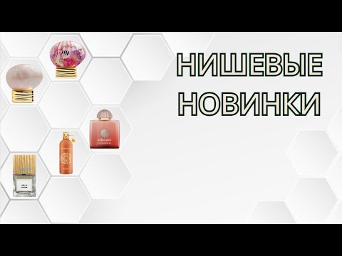 Видео: НИШЕВЫЕ НОВИНКИ 2024! Хороши или посредственны?