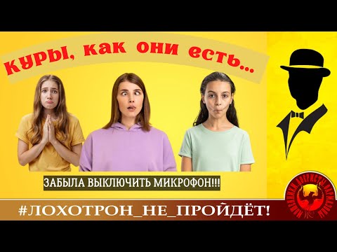 Видео: Куры, как они есть... (Автор - Константин)