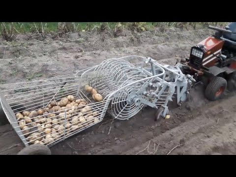 Видео: Копка картошки 2019! Digging potatoes 2019! حفر البطاطس