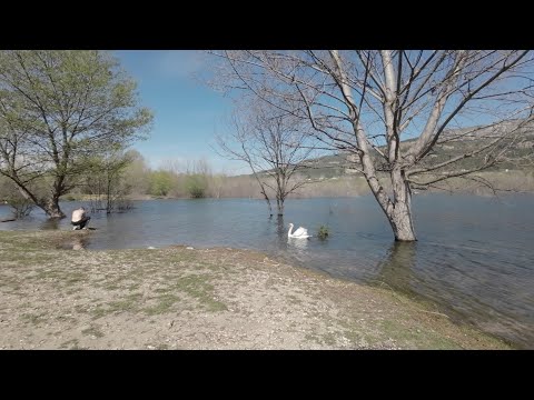 Видео: Кисловодск. Теплая, весенняя прогулка на электровелосипеде к Новому озеру вдоль реки Подкумок.