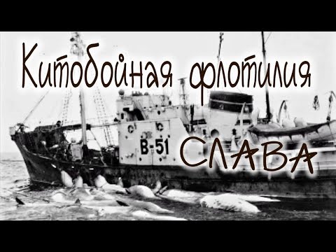 Видео: Китобойная флотилия СЛАВА , ЦКБ 14 , Плавбаза ВОСТОК , теория Судостроения , КБ Балт Судопроект