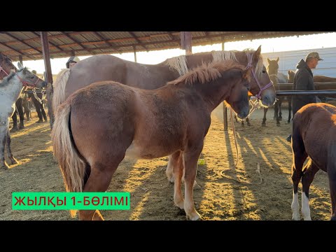 Видео: Жылқы 1-Бөлімі.