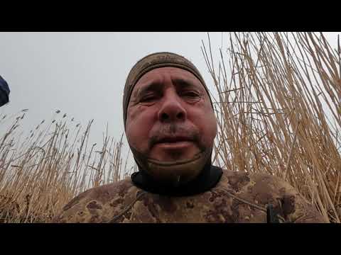 Видео: Судочи кулига саёхат. 1- кисм