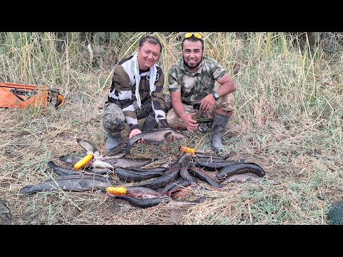 Видео: Арнасойда ИЛОНБОШ ови. 1