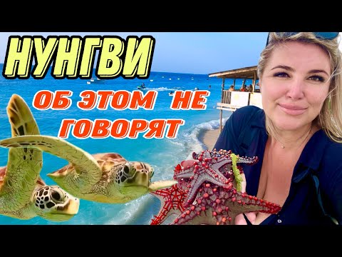 Видео: ЗАНЗИБАР- ШОК ЛУЧШЕ ЭТО ЗНАТЬ!! |ПЛЯЖ НУНГВИ 2024 ОТЛИВЫ И ..