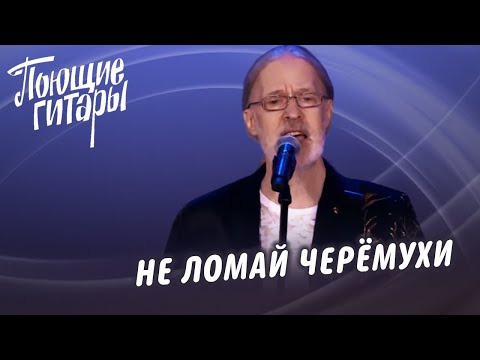 Видео: Поющие Гитары - Не ломай черёмухи