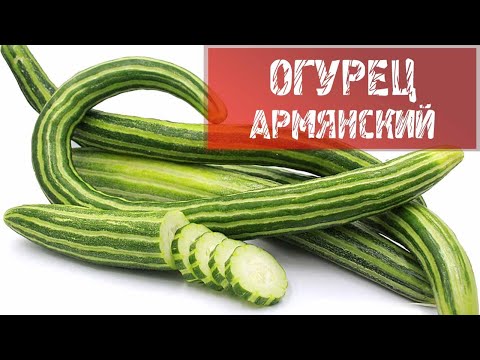 Видео: АРМЯНСКИЙ ОГУРЕЦ