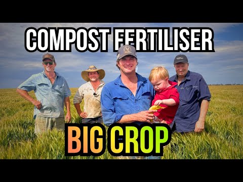 Видео: Как эти братья превращают куриный помет в золото!