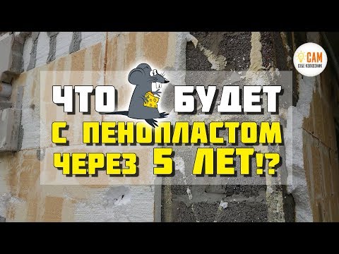 Видео: Плесень и грызуны в пенопласте?! Разбираем фасад!