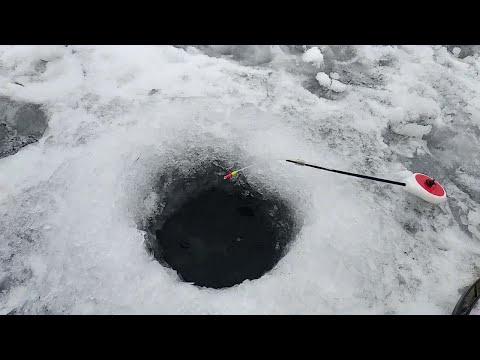 Видео: Зимняя рыбалка. Нижегородская область. Кстово