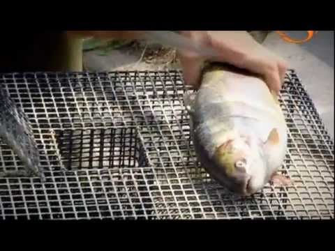 Видео: Это Всё Еда с Гордоном Рамзи (2 Season 7 Series)