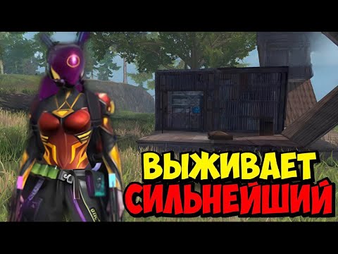 Видео: Соло выживания на стандартном сервере без талантов в last island of survival#Lios#ldrs#rast#medved