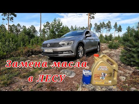 Видео: Замена масла в лесу. Так я ещё не менял масло! Volkswagen Passat B8 1.6 TDI.