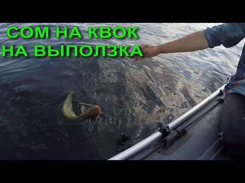 Видео: СОМ НА КВОК НА ВЫПОЛЗКА, МНОГО ПОДЪЁМОВ, НО МЕЛКИХ. 2024