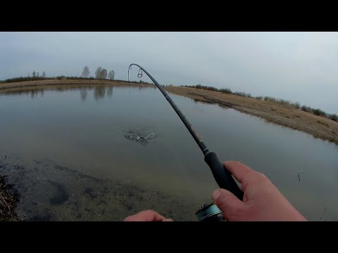 Видео: Спиннинг с берега. Ловля щуки на спиннинг весной. Вечерний клёв хищника. Рыбалка на спиннинг 2023.
