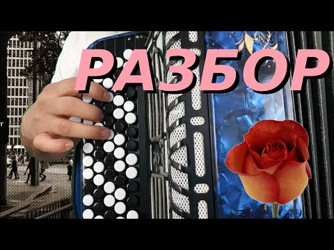 Видео: Майская Роза (прямо с мороза) Разбор На Баяне [Верка Сердючка]