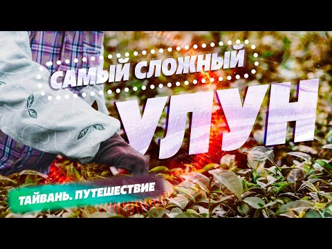 Видео: Тайвань. Путешествие через весь остров. Самый сложный в производстве улун.