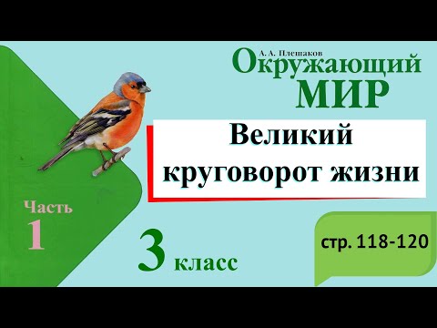 Видео: Великий круговорот жизни. Окружающий мир. 3 класс, 1 часть. Учебник А. Плешаков стр. 118-120