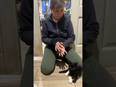 Видео: Новое поступление 🐾