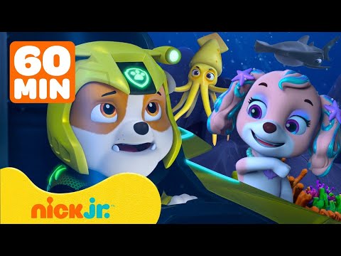Видео: Щенячий патруль | Крепыш и русалка Перл останавливают Моби! С Зумой, Рокки и Эверест | Nick Jr.