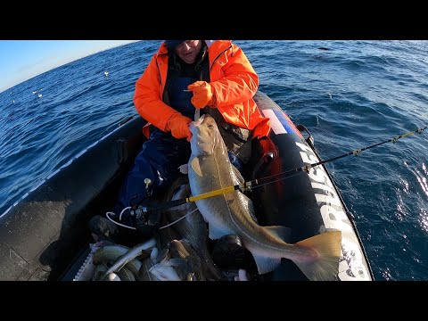 Видео: УДАЧНОЕ ОТКРЫТИЕ СЕЗОНА МОРСКОЙ РЫБАЛКИ  / SUCCESSFUL OPENING OF THE SEA FISHING SEASON