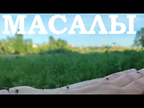 Видео: МАСАЛЫ. История поселка Аксу рудника Сталинский  #13