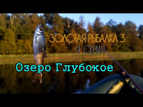 Видео: Золотая Рыбалка 3. Озеро Глубокое, один на лодке. 4 серия