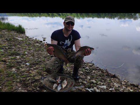 Видео: #Рыбалка на Оке#Донки#Лещ#Плотва#Ока