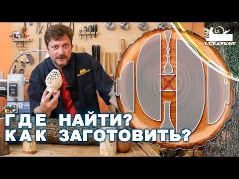 Видео: Миссия "Найти и заготовить" !  ищем древесину для токарных работ по дереву