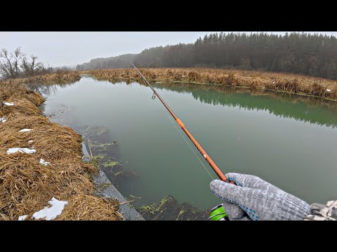 Видео: НОГИ ЗАТРЯСЛИСЬ, КОГДА Я УВИДЕЛ ЧТО КЛЮНУЛО!! Первая рыбалка на спиннинг 2025.