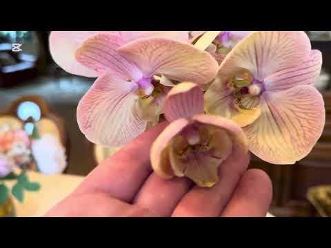 Видео: ДВЕ НОВИНКИ 🌺, Ph. Sparkling Kizz - ВОЗВРАЩАЕТСЯ 😁😍😍😍