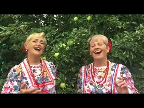 Видео: Песня "Расцветали яблони в саду" Исполняет  народный ансамбль народной и казачье песни "Вольна Воля"