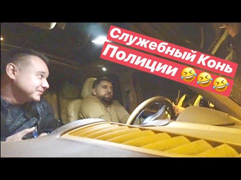 Видео: Служебный конь Полиция РЖАЧЬ 😂🤣