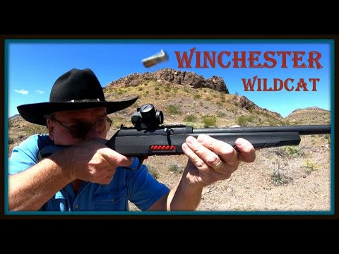 Видео: Винтовка Winchester Wildcat .22 — потрясающая и уникальная! Весёлая, быстрая и точная — обзор стр...