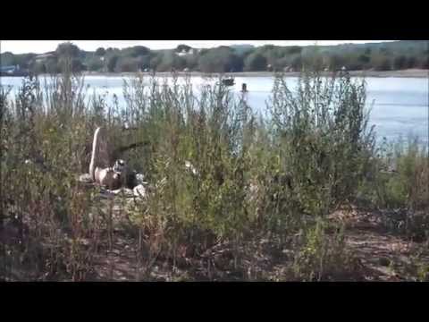 Видео: Рыбалка на Оке 16 августа 2014 г. Сомик, густера, (стерлядь...отпустили!!!)