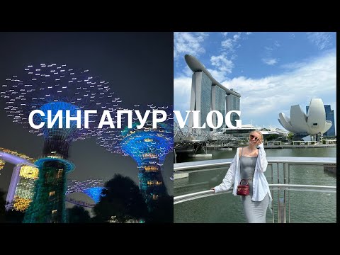 Видео: СИНГАПУР VLOG: самый красивый аэропорт в мире, пробуем уличную еду, деревья из Аватара, CapitaSpring