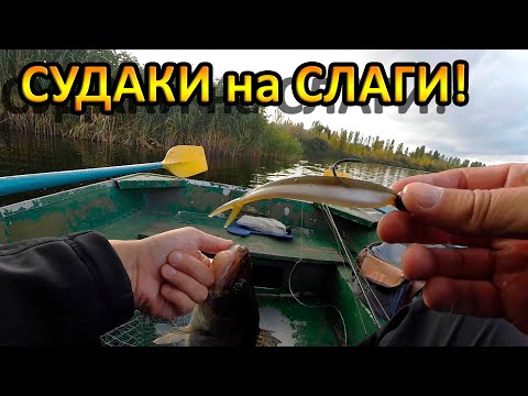 Видео: На что ловить судака? Силиконовые приманки. Слаги!