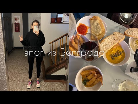 Видео: Белградский влог I беговое комьюнити, вечер с Быковым, спокойная жизнь