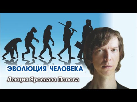 Видео: Эволюция Человека. Лекция Ярослава Попова.