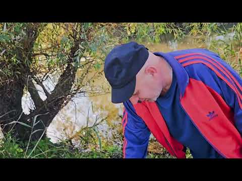 Видео: ✨️Наше настроение в наших руках ✨️